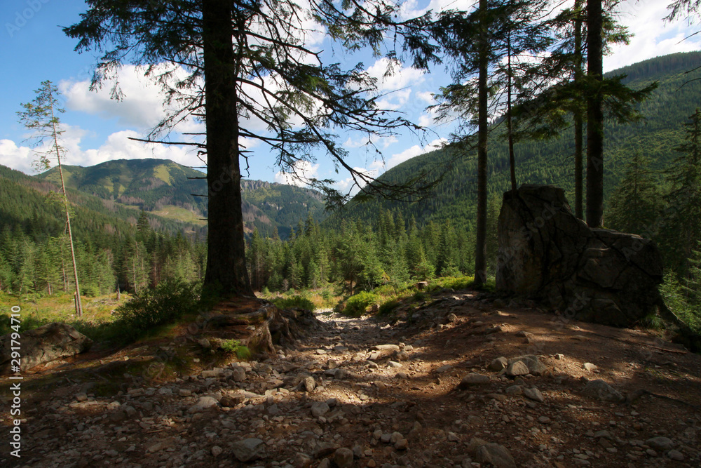 Chocholowska Valley, Western Tatra Mountains, Poland