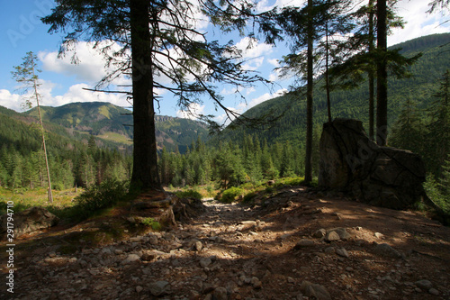 Obraz na płótnie Chocholowska Valley, Western Tatra Mountains, Poland w salonie