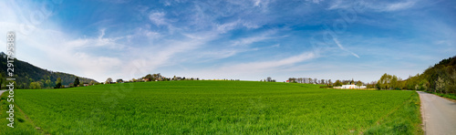 Summer landscape panorama