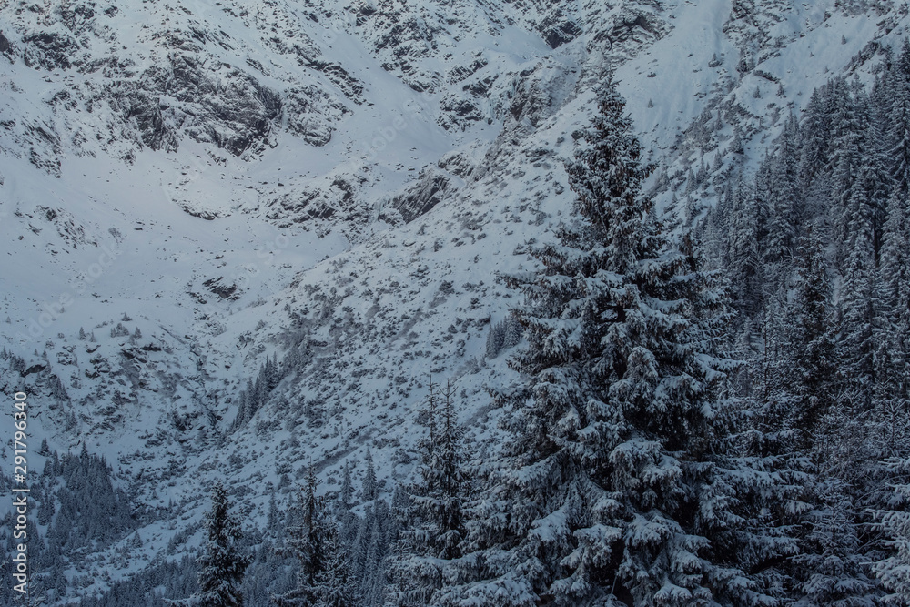 Snowy fir tree above deep valley Snowy fir tree above deep valley