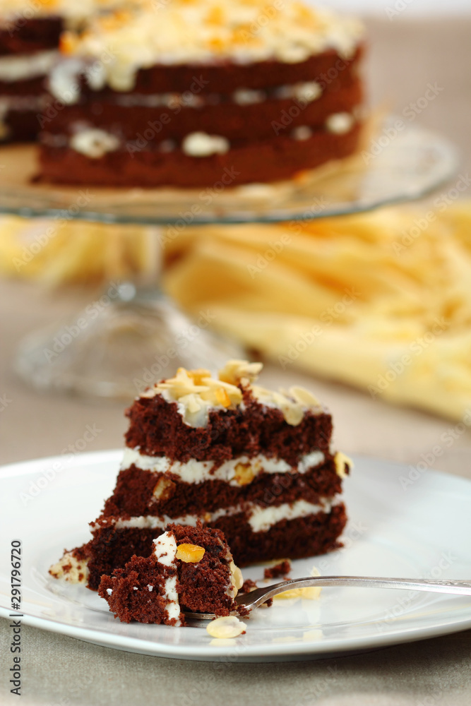 piece of chocolate cake piece of chocolate cake