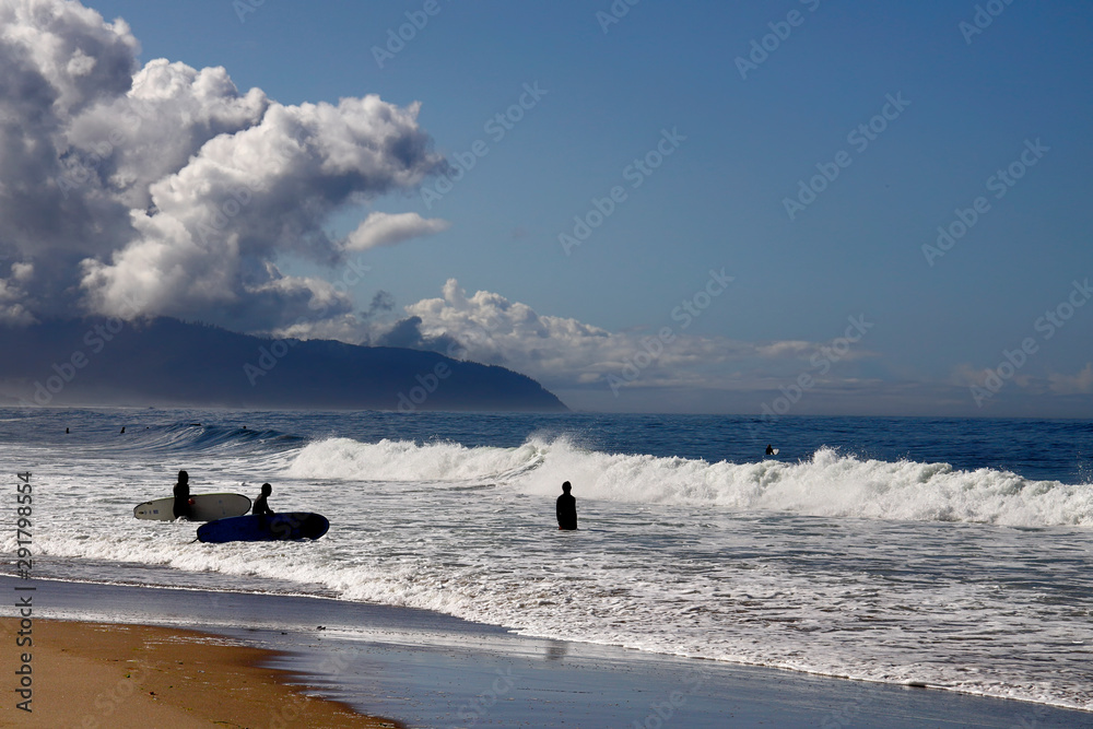 Naklejka premium waiting for the next big wave to ride