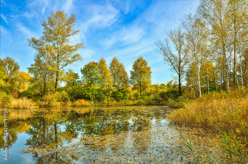 Fototapeta Naklejka Na Ścianę i Meble -  Golden autumn on the bank of forest lake