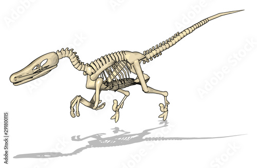 Dino skelet, illustration, vector on white background.