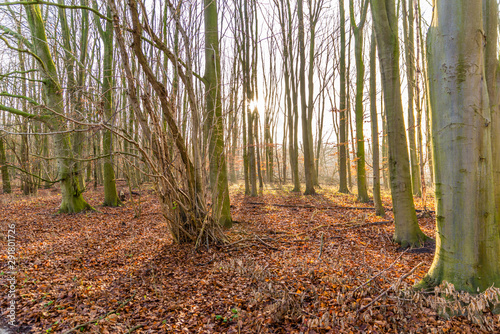 autumn scene with red yellow brown and orange colors the change of seasons