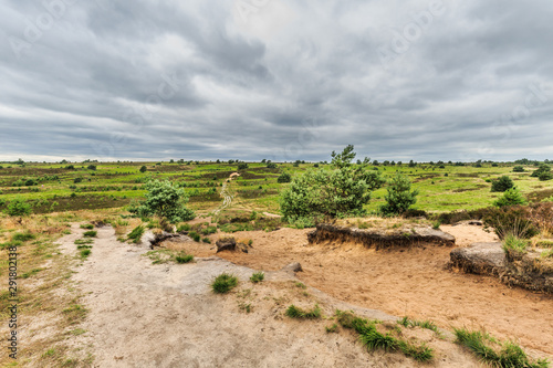 Landscape Rozendaalse Veld in the Dutch province of Gelderland during the drought 2018 views over dried grass, old ox cart traces and solitary trees against dark cloudy sky photo