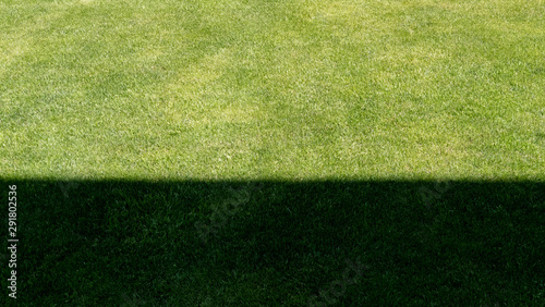 Green grass with shadows and lights for wallpaper