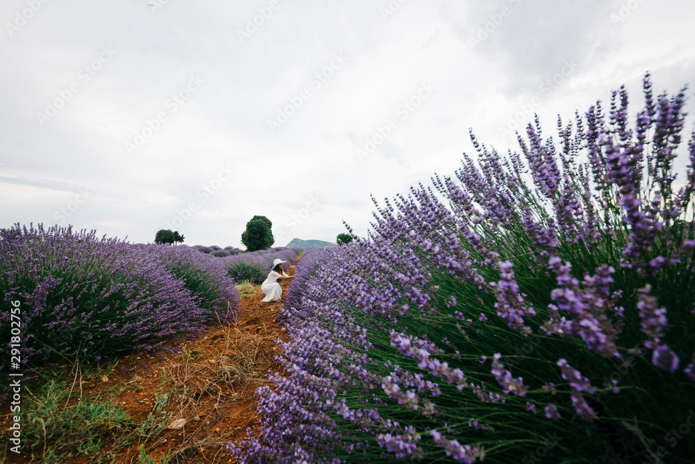 Obraz premium Female Model at Lavender field, Isparta Turkey