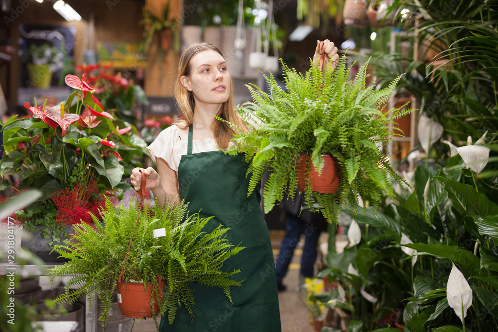 Portrait of woman florist with baskets of flowers in flower shop