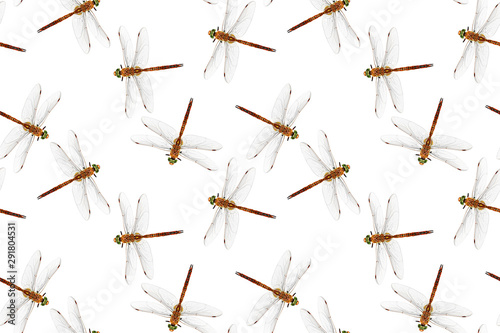 Photo stylized dragonfly isolated on white background. Seamless pattern.