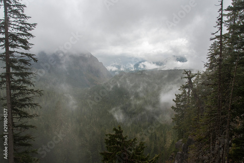 Late Summer in the Mount Rainier National Park 13 © imagoDens