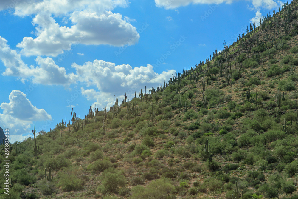 Obraz premium Western World