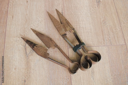 Fotografia Two old manual mechanical primitive shears for shearing sheeps wool