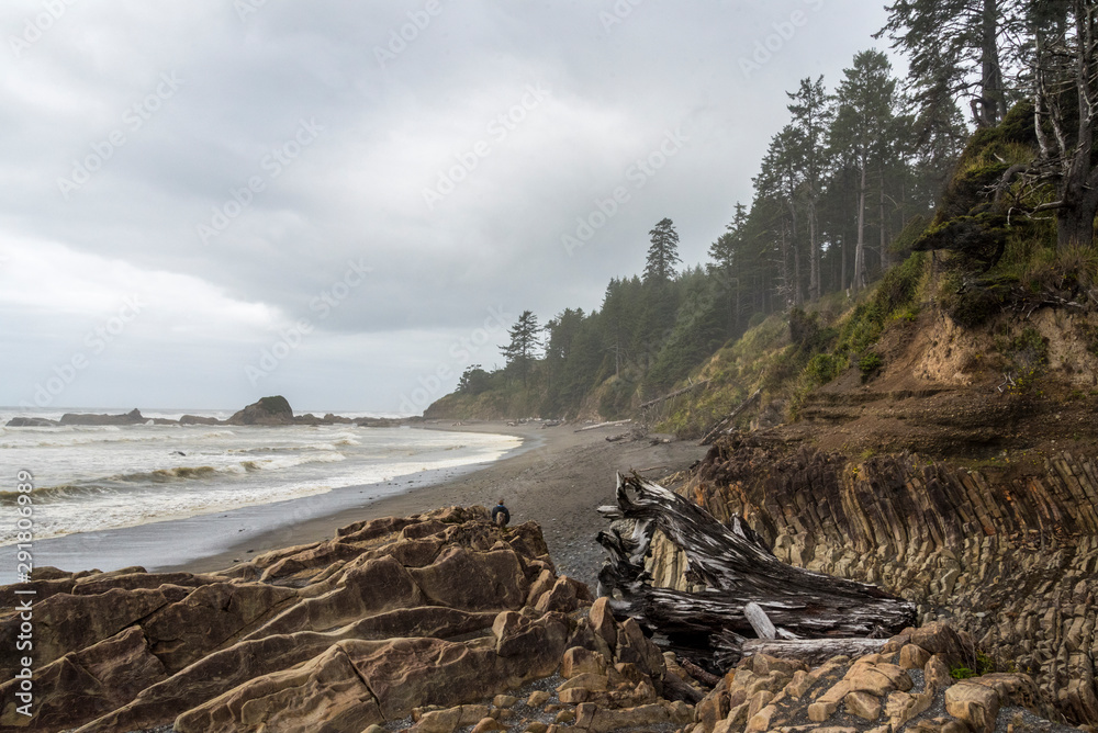 Fototapeta premium Pacific Coast at the Olympic National Park 01