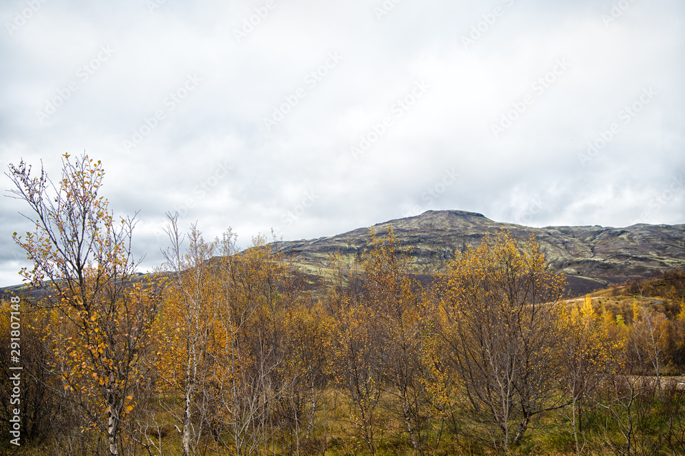 High mountains. Fall in Iceland. Landscape view with grass field in Iceland. Autumn landscape cloudy day. Climate changes. Nature and ecology. Autumn tour Iceland nature. Tourism and travel High mountains. Fall in Iceland. Landscape view with grass field in Iceland. Autumn landscape cloudy day. Climate changes. Nature and ecology. Autumn tour Iceland nature. Tourism and travel
