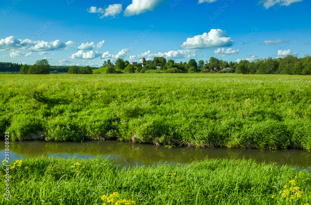 Fototapeta premium Sunny day, clear sky, meadows and vegetation. Peksha River. Nature in the summer. Aleksino village in the Vladimir region, Russia