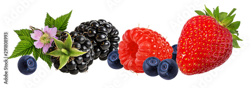 Berries collection. Raspberry,strawberry blueberry, blackberry isolated on white.