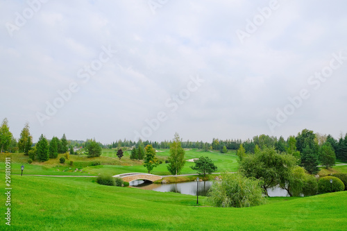 Landscape. Hills with green lawn and ornamental shrubs and trees lake and bridge. Beautiful garden © Александр Овсянников