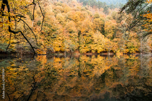 Bolu Yedigoller National Park, Turkey © stocktr