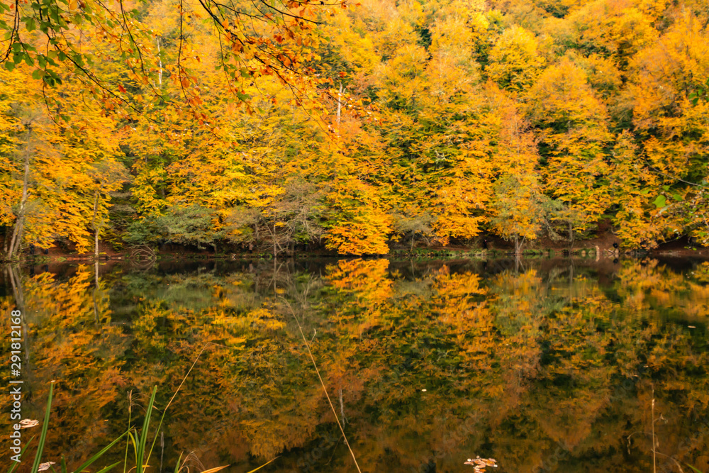 Bolu Yedigoller National Park, Turkey