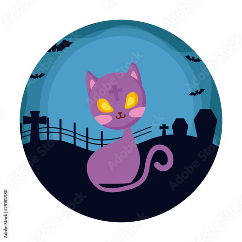 cat of halloween over cemetery photo