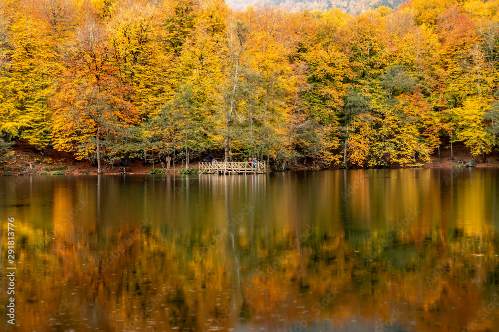 Fototapeta premium Bolu Yedigoller National Park, Turkey