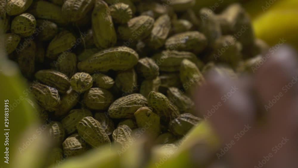 A cook mixing a pile of peanuts, still in their shells, as they cook surrounded by ears of corn