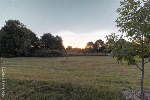 Sunrise at open field with tree line