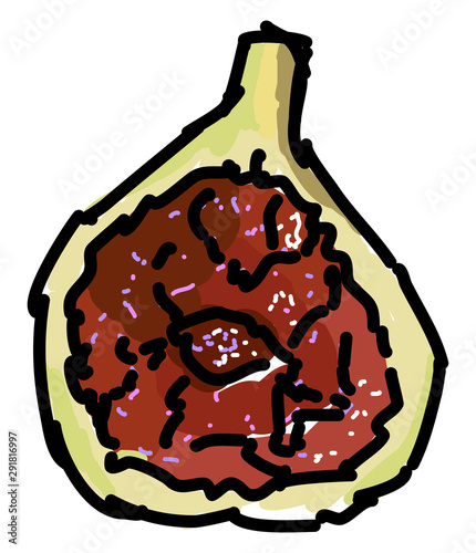 Purple fig, illustration, vector on white background.
