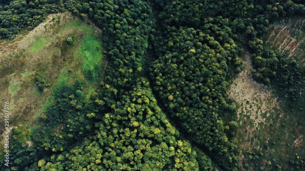 Aerial top view of Green Trees Forest. Drone flying Over the Tops of Pine forest. Aerial top view of Green Trees Forest. Drone flying Over the Tops of Pine forest.