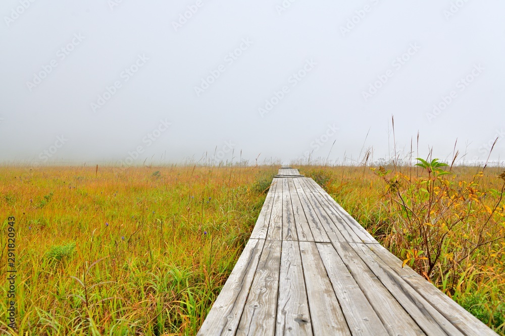 高原の秋・木道のある風景 高原の秋・木道のある風景