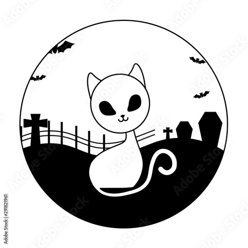 cat of halloween over cemetery photo