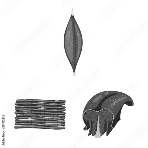 Vector design of human and body symbol. Set of human and cells stock symbol for web.