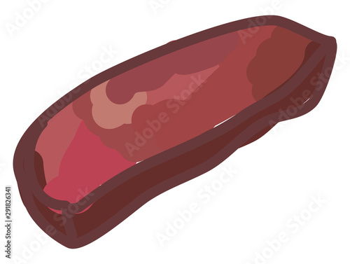 Steak, illustration, vector on white background.