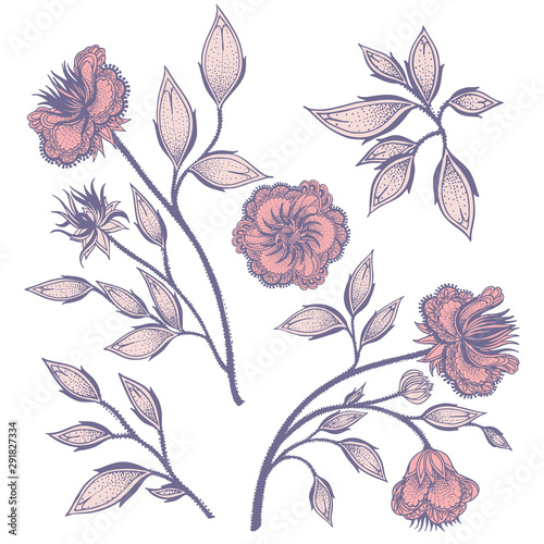 Set of hand drawn graphic illustration of flowers and leaves