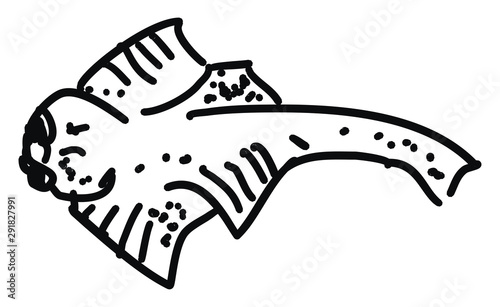 Angel shark, illustration, vector on white background.