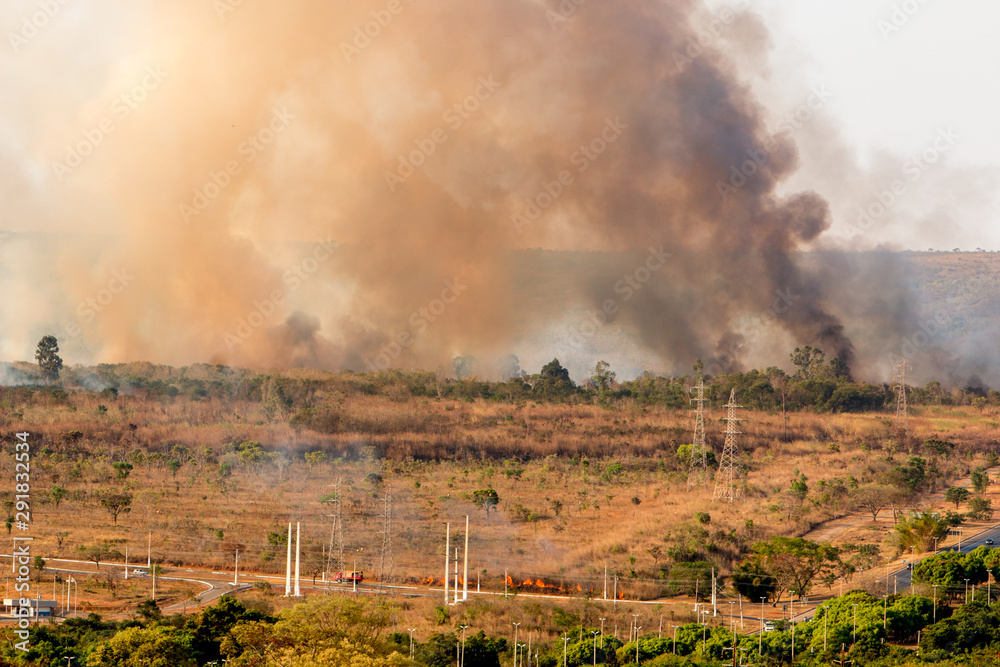 Fototapeta premium Wild Fires Burning out of control in the City Limits of the North Side of Brasilia.