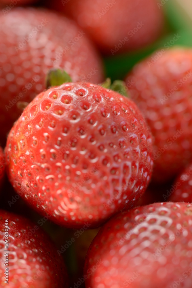 Fruits and Vegetables Fruits and Vegetables