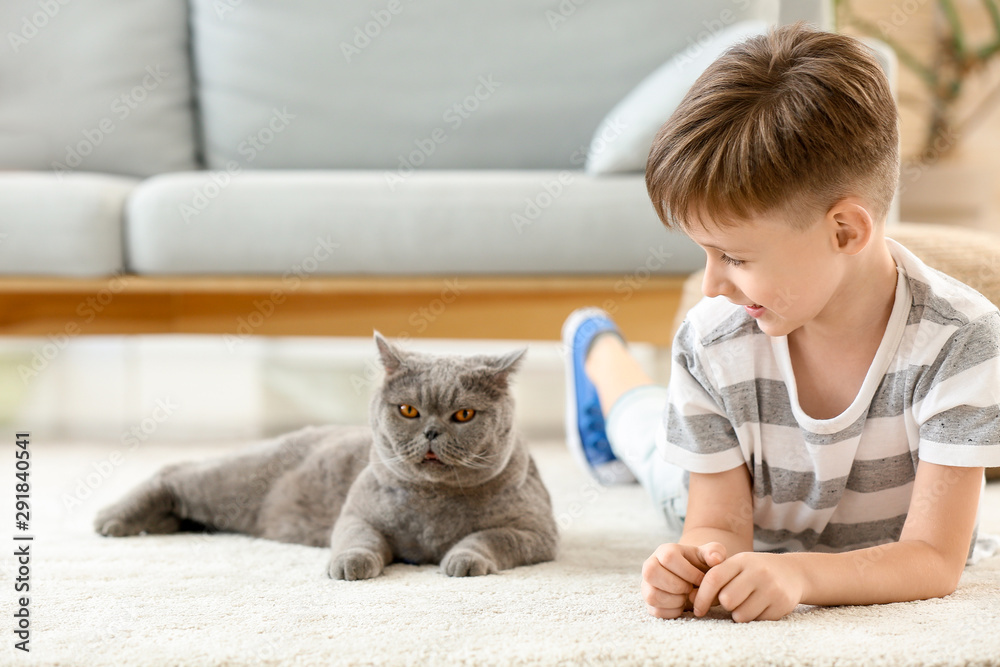 Little boy with cute cat at home Little boy with cute cat at home