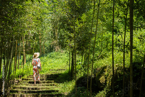 woman hiking in the forest at Xitou