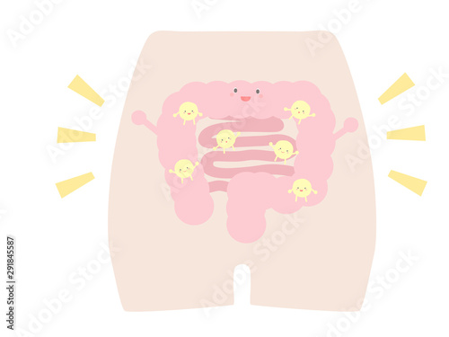 健康な腸内環境
