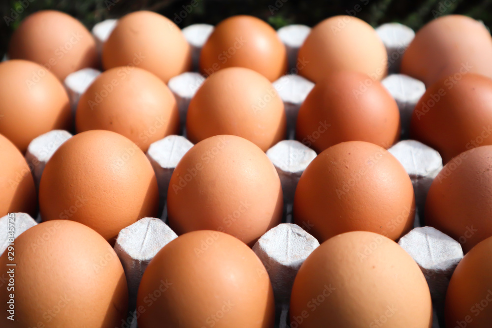 close up group of dozen eggs on the carton tray 