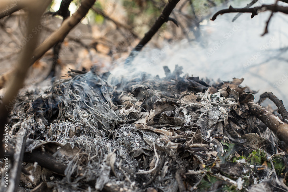 Close up of Smoke and ashes from burning forests Close up of Smoke and ashes from burning forests