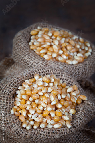 Close up of the dry corn kernels in hemp sacks.