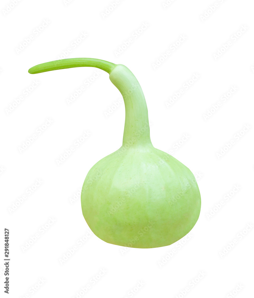 Fresh organic calabash green with green stem isolated on white background with clipping path