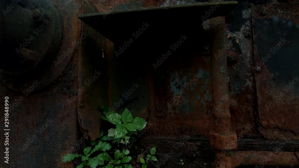4K Handheld static shot vegetation growing old rusty abandoned locomotive wagon 4K Handheld static shot vegetation growing old rusty abandoned locomotive wagon