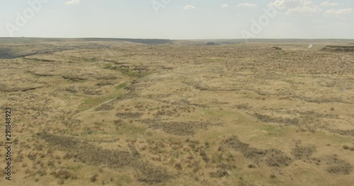 Miles of dead yellow fields, helicopter aerial, drone footage