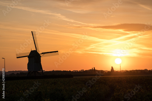 An beautiful windmill