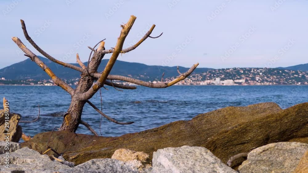 French Riviera. Southern France. Mediterranean Sea coast. Wild beach rocks and woods..