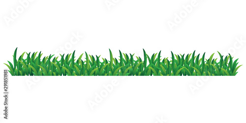 grass vector isolated on transparent background